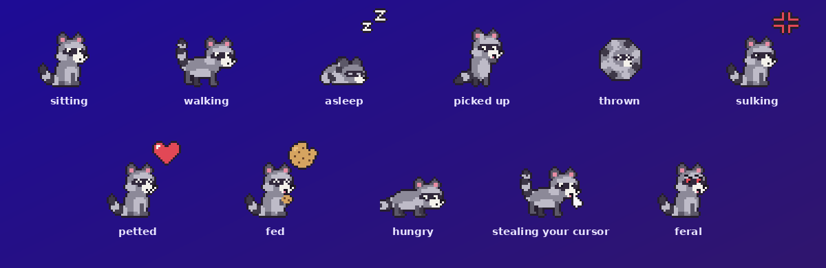 The raccoon's poses: sitting, walking, asleep, picked up, thrown, sulking, petted, fed, hungry, stealing your cursor, feral